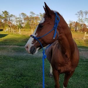 Meet your Posher, Katherine